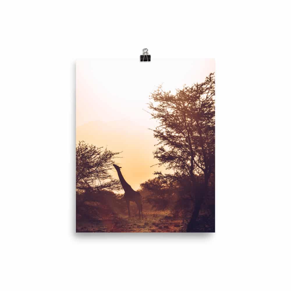 ‘Sunrise’ Limited Edition fine art photo print