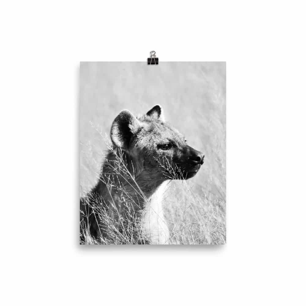 'Hyena Profile' Limited Edition print 2