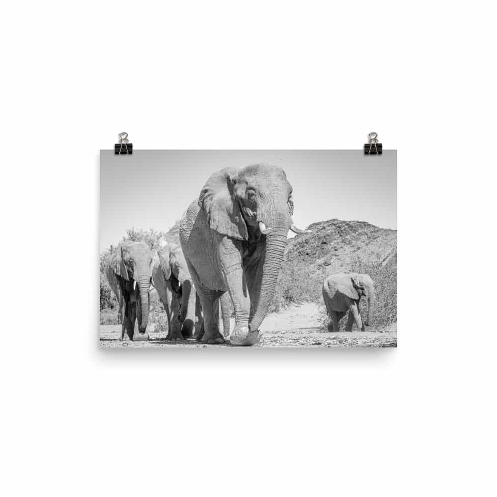 'Herd of Elephants Approaching Camera' Limited Edition print 1