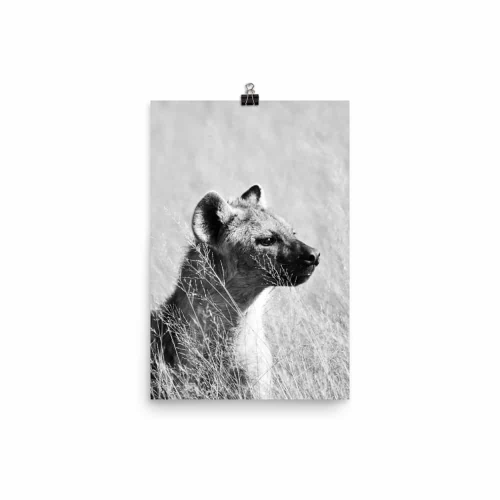 'Hyena Profile' Limited Edition print 1