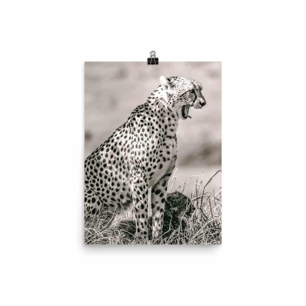 'Cheetah and Cub' fine art print 1