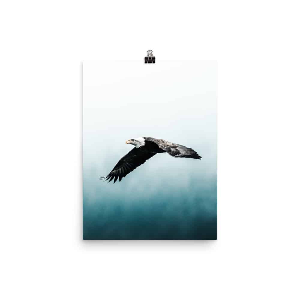 ‘Eagle’ fine art print