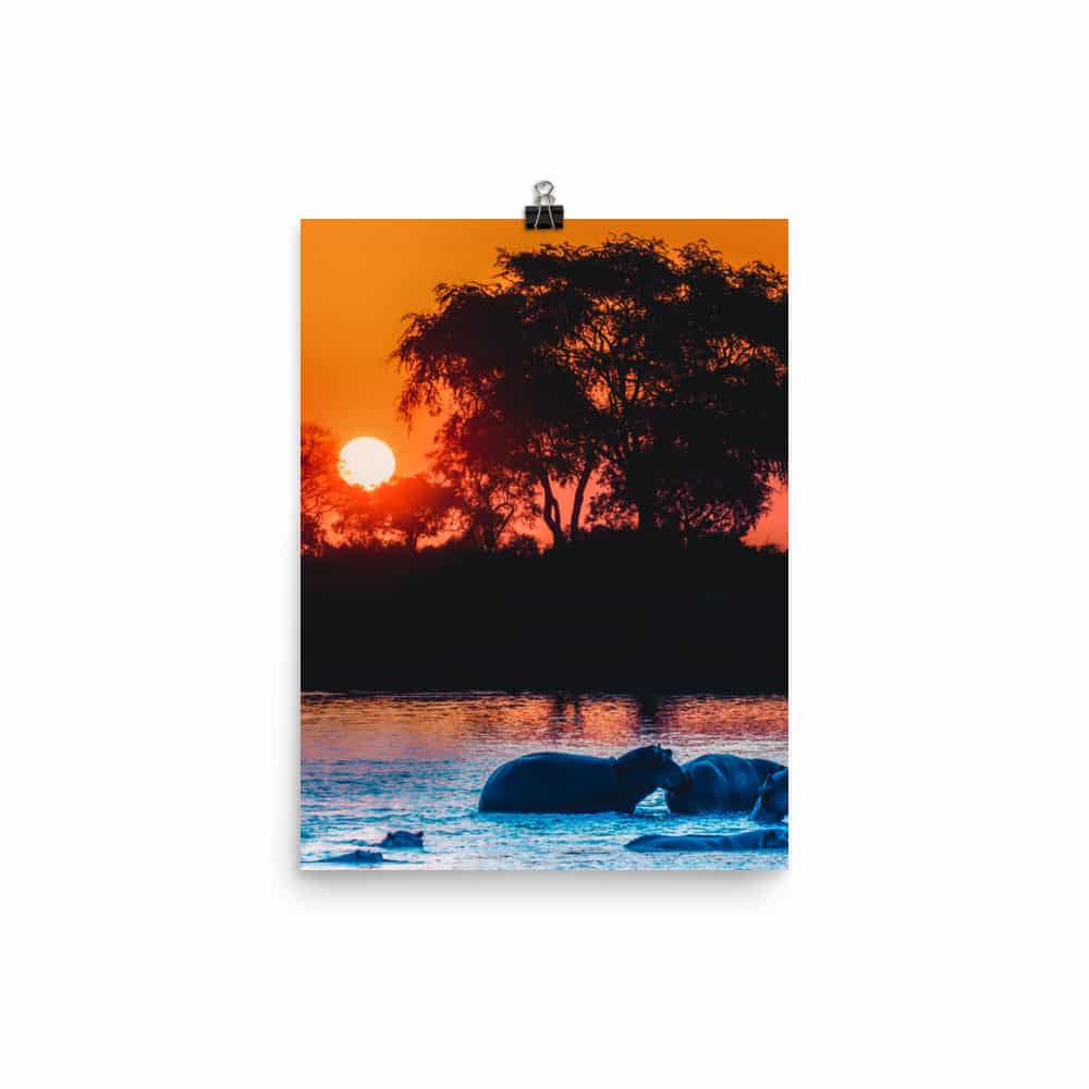 'Hippos at Sunset' fine art print 2