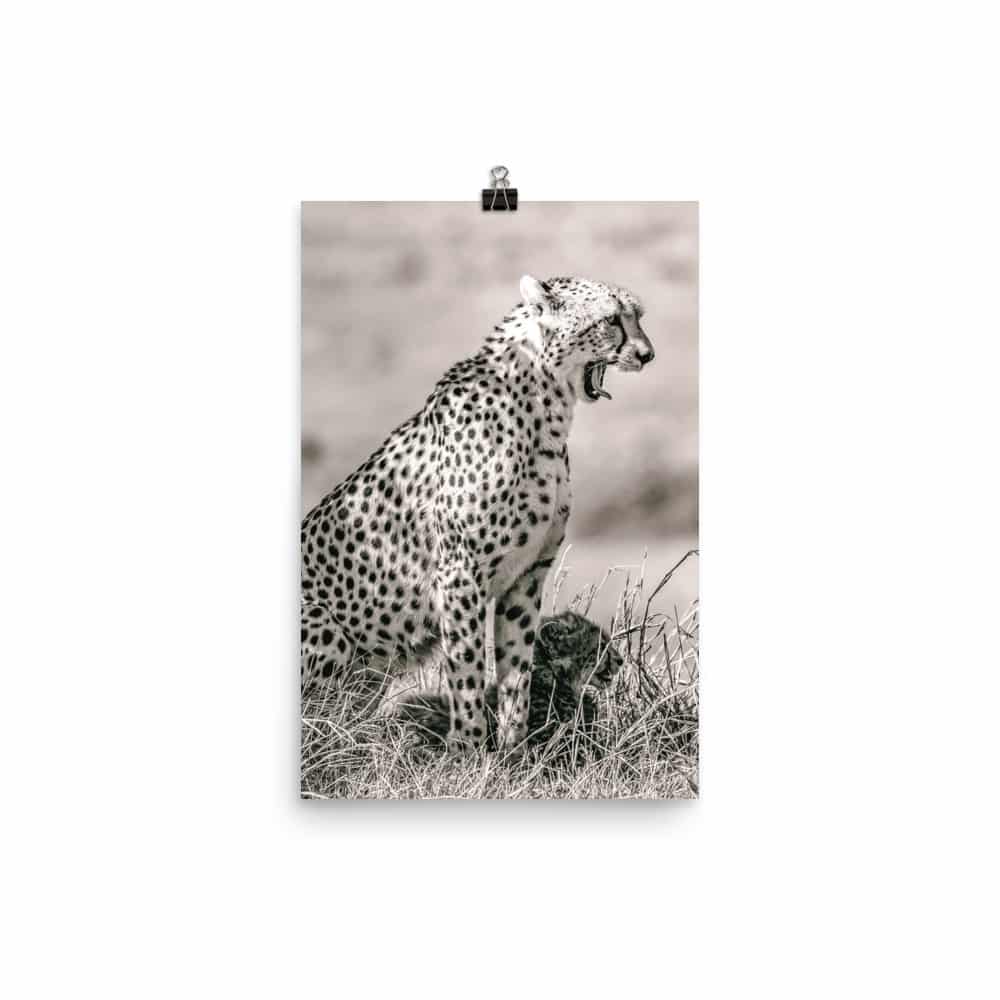 'Cheetah and Cub' fine art print 2
