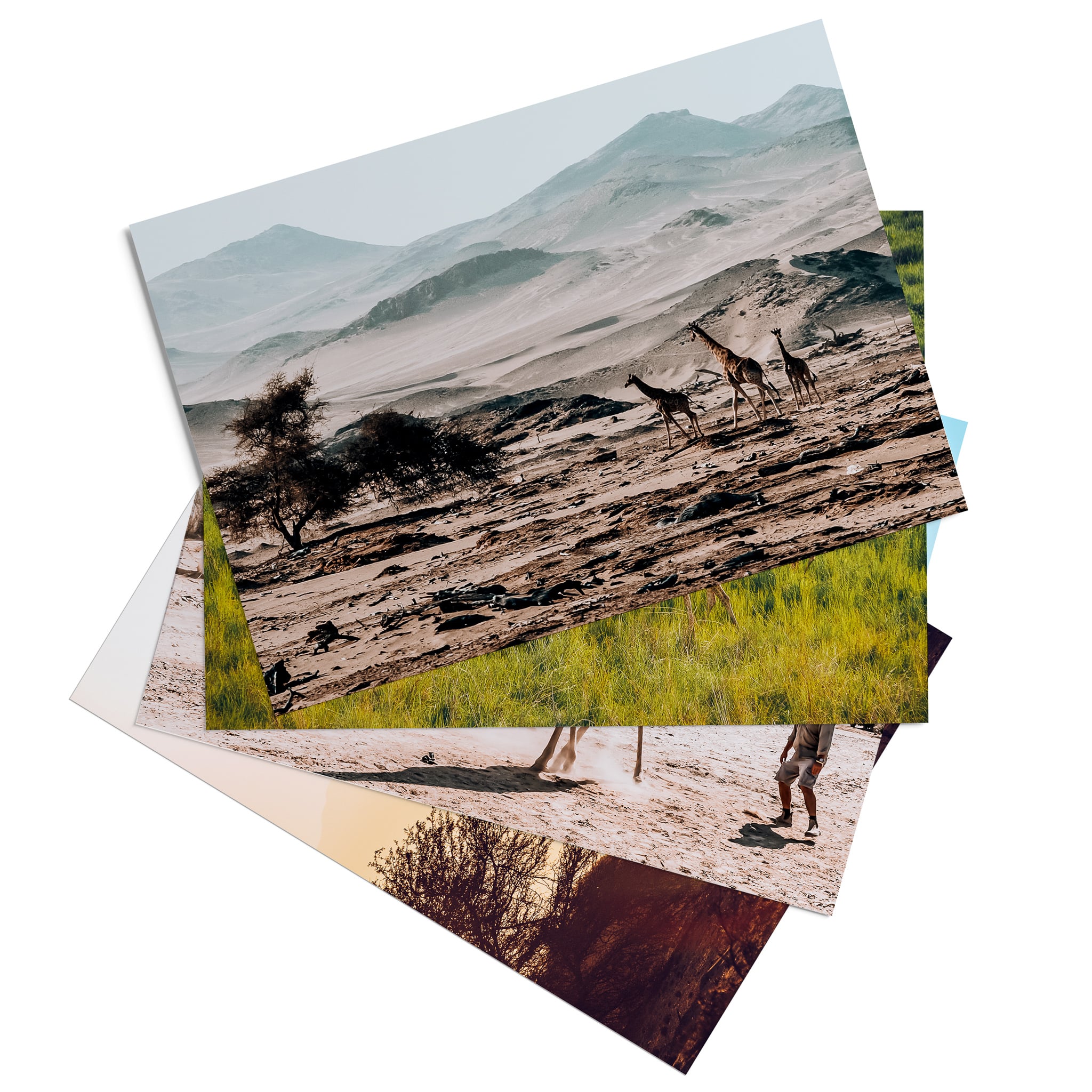 ‘Scenic Giraffe’ assorted postcard set (10 cards)