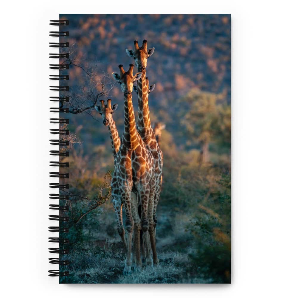 Bobby Jo Vial Limited Edition spiral notebook