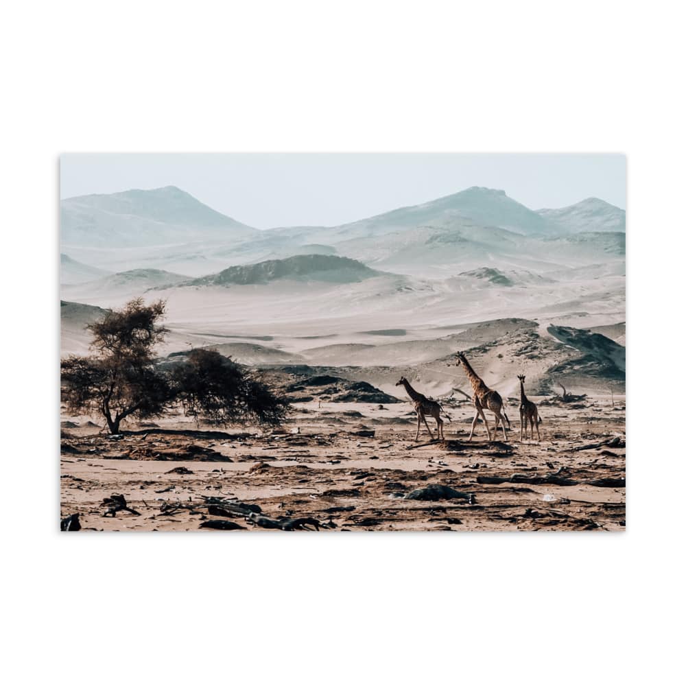 'Scenic Giraffe' assorted postcard set (10 cards) 9