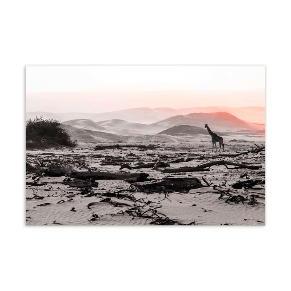 'Scenic Giraffe' assorted postcard set (10 cards) 3