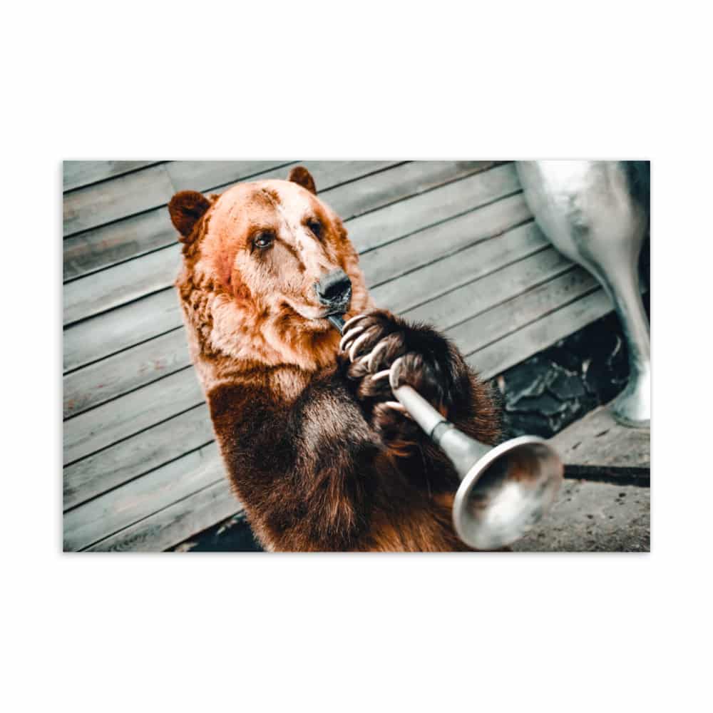 'Bugle Bear' standard postcard 1