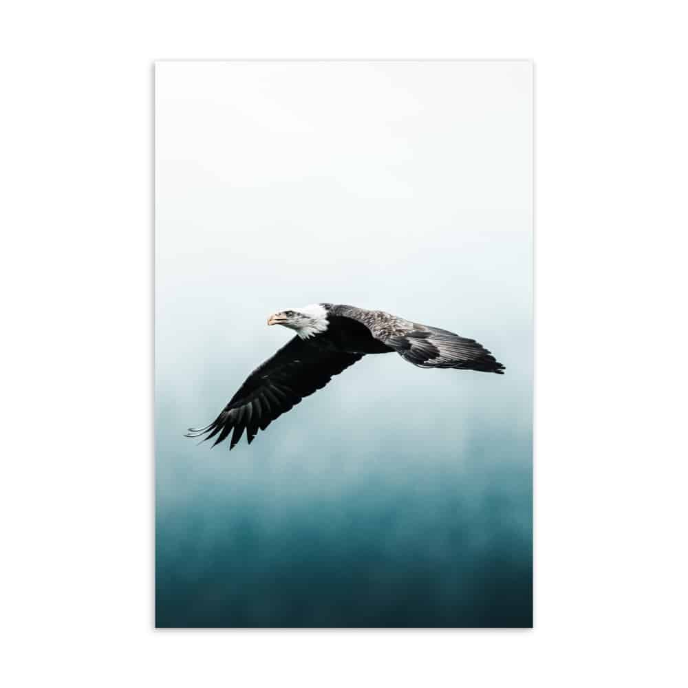 'Eagle' standard postcard 1