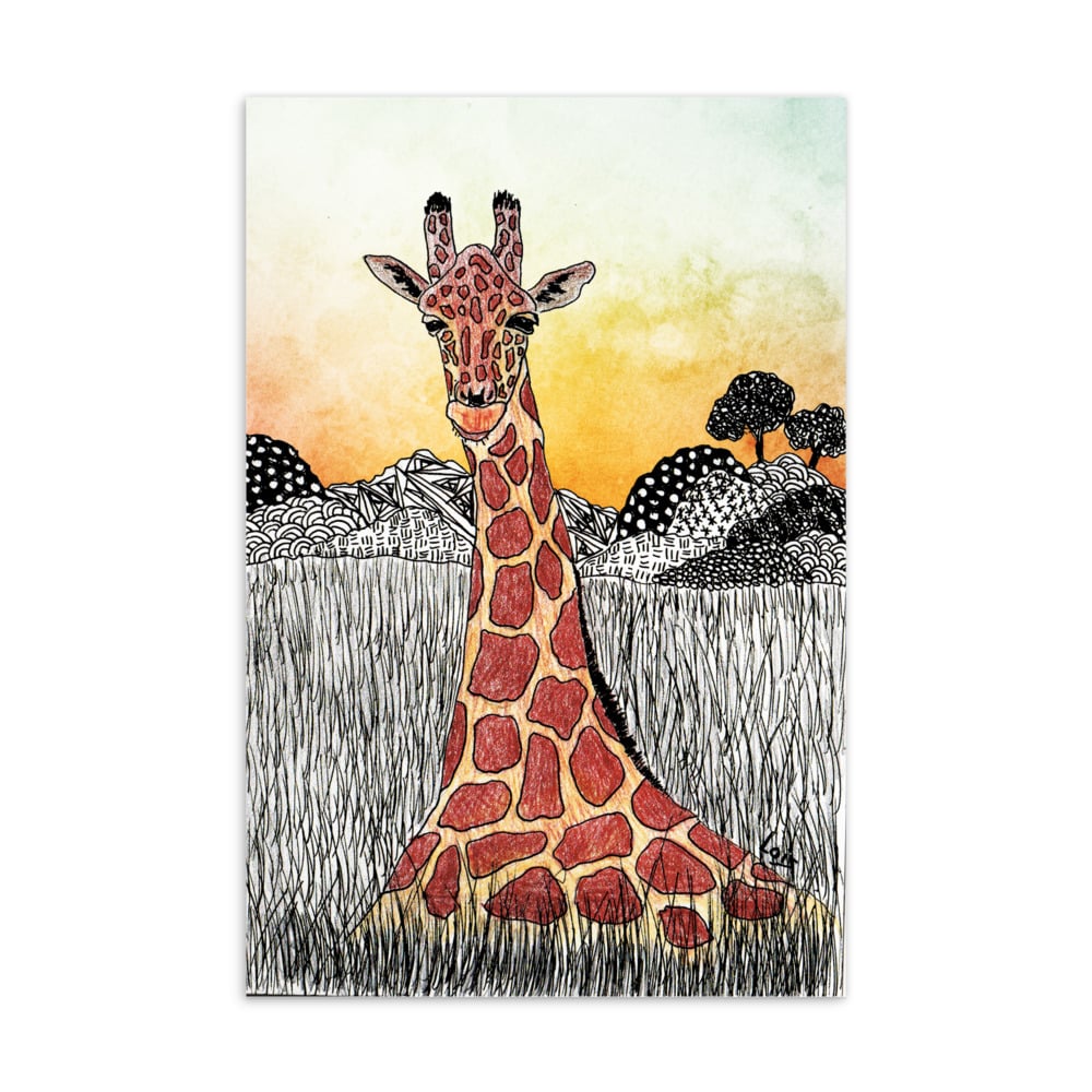 'Giraffe in Field' standard postcard 1